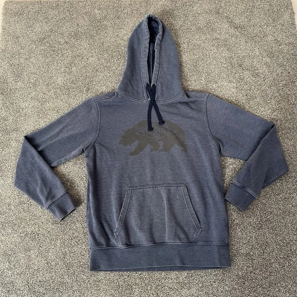 The North Face Hoodie Mens Medium Gray Bear Graphic Pullover Sweatshirt